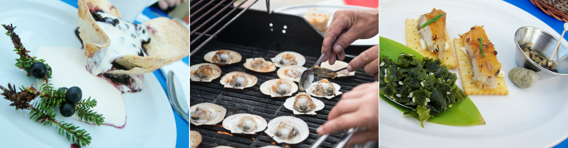 Nord-Goûteurs, algues, bigorneaux, camarine, bbq